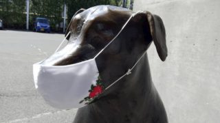六花亭のマスクをつけた犬の像